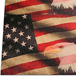 US Flag and Eagle